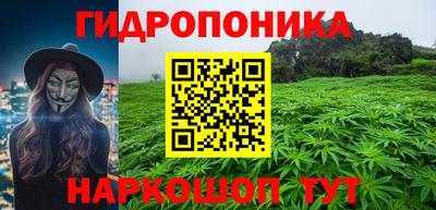 не бодяженный Сланцы