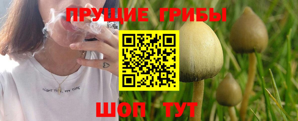 Ноябрьск  Псилоцибиновые грибы GOLDEN TEACHER  Вход с VPN  Псилоцибиновые грибы прущие грибы 
