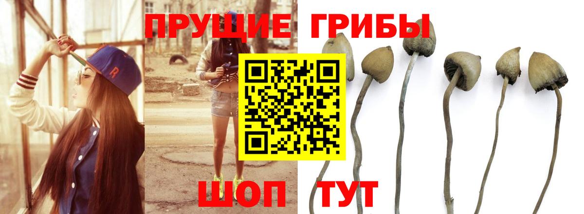 Галлюциногенные грибы Magic Shrooms Ноябрьск